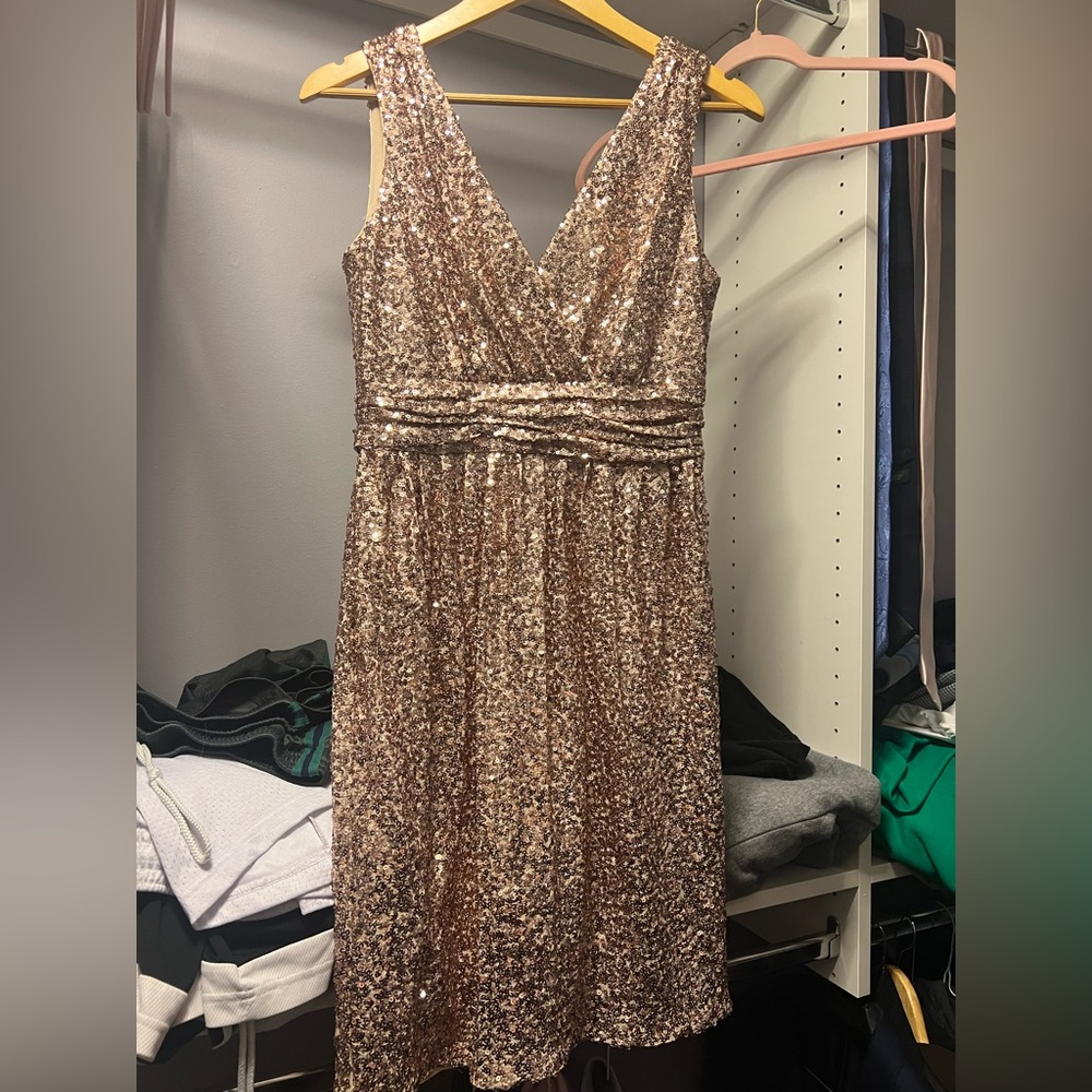 Rose sequin party dress 💕